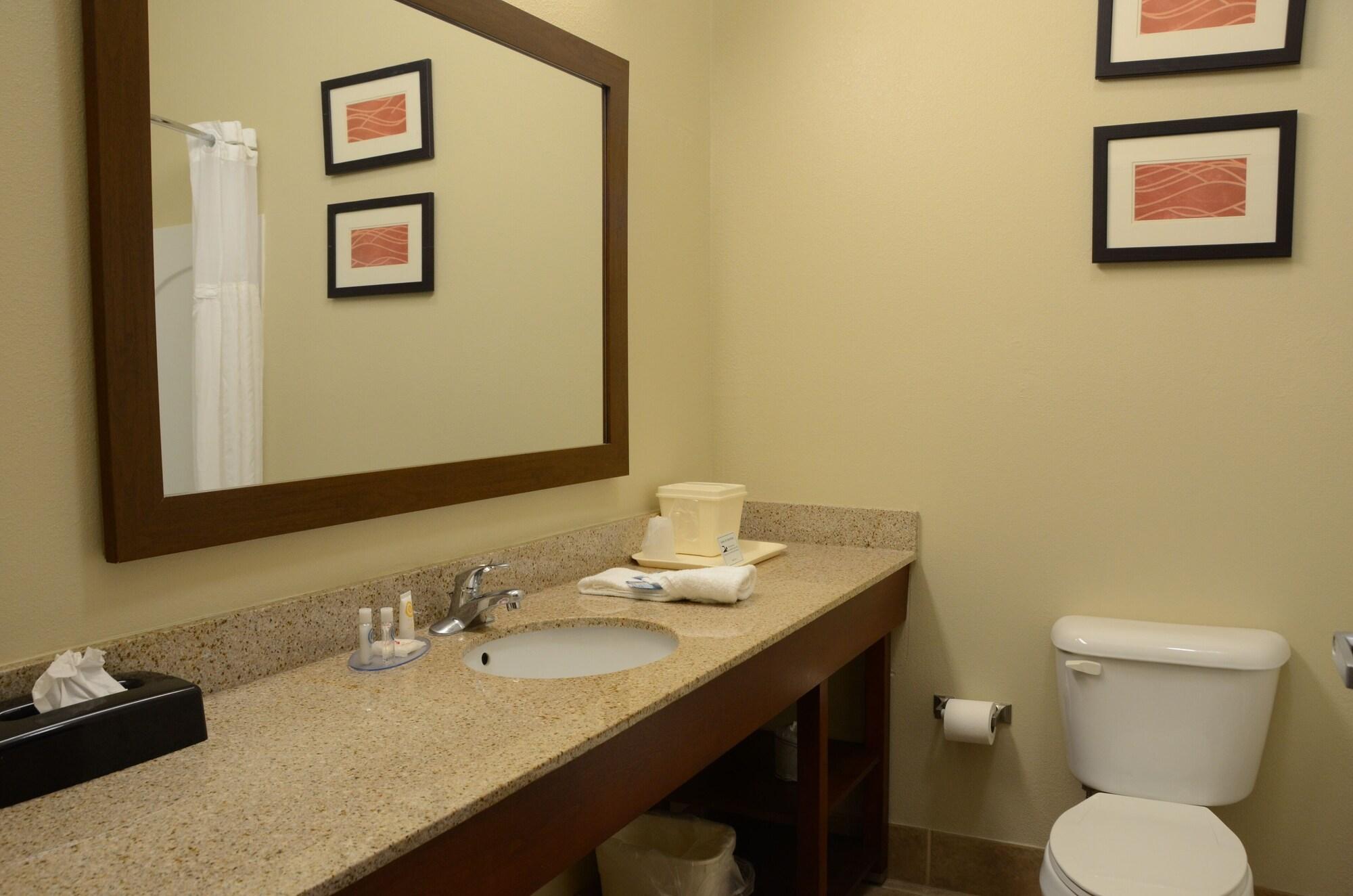 Comfort Inn & Suites Cave City Eksteriør billede